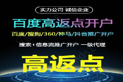 SEM服务在本地化营销中的应用案例